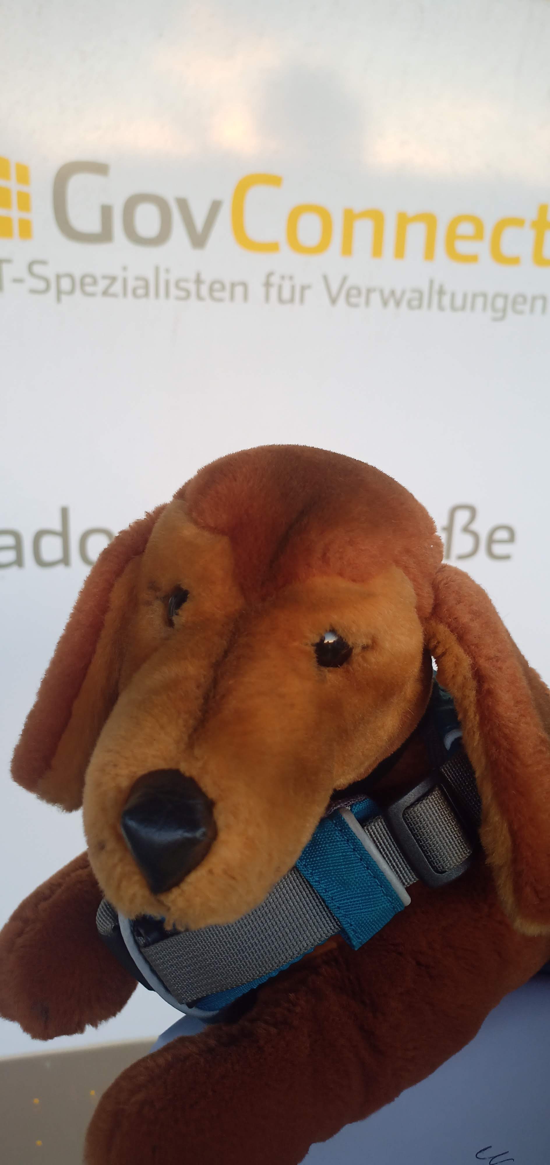 Plüschdackel vor dem Schild "GovConnect, IT.spezialsiten für Verwaltung"