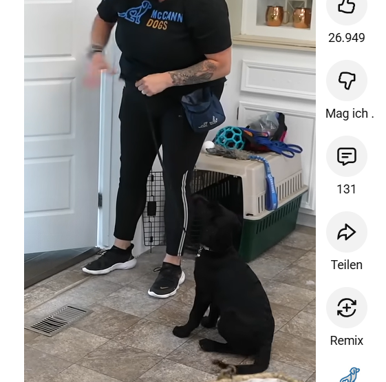screenshot Mensch steht vor einer kleineren Flugbox für einen dafür zu großen Hund. 