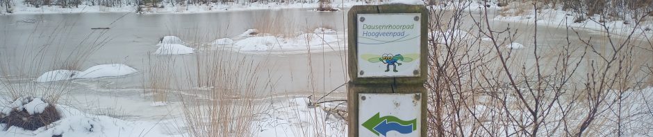 gefrohrener Moorpolder in der Molberger Dose