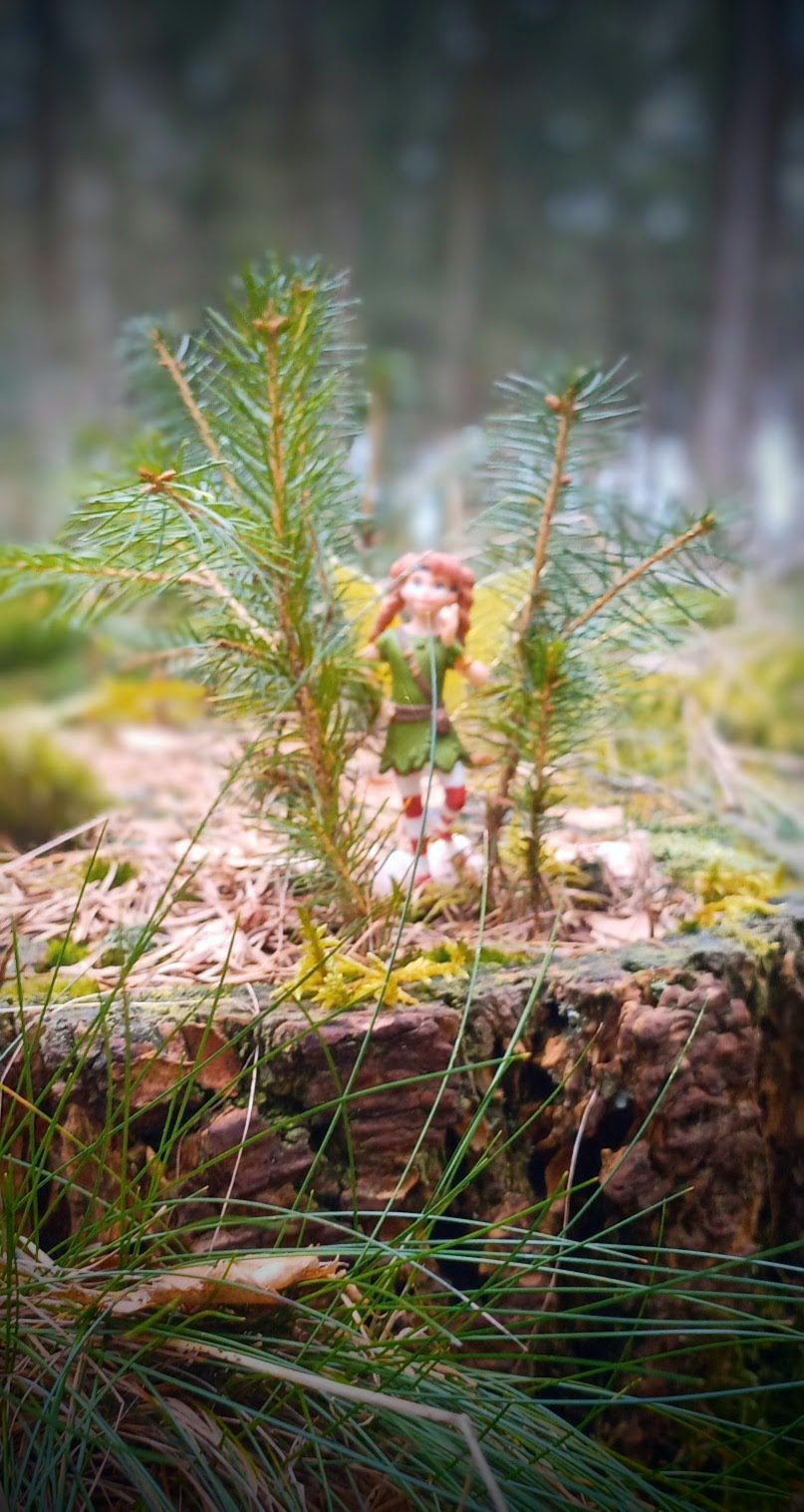 Baumstumpf mit neu wachsenden Tännchen und Schleich-Fee