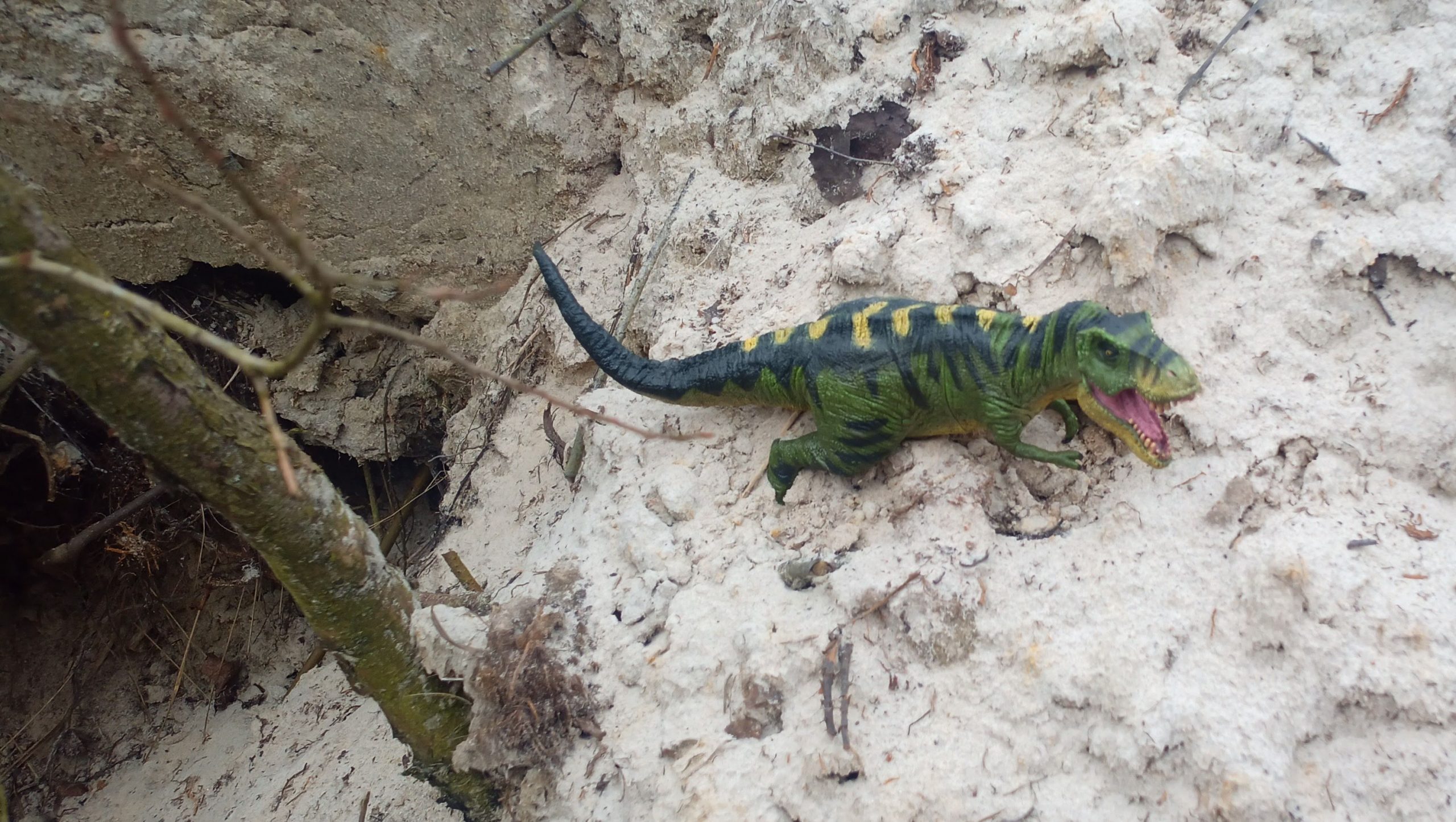 Plastikdino im Sandhaufen mit Ästen