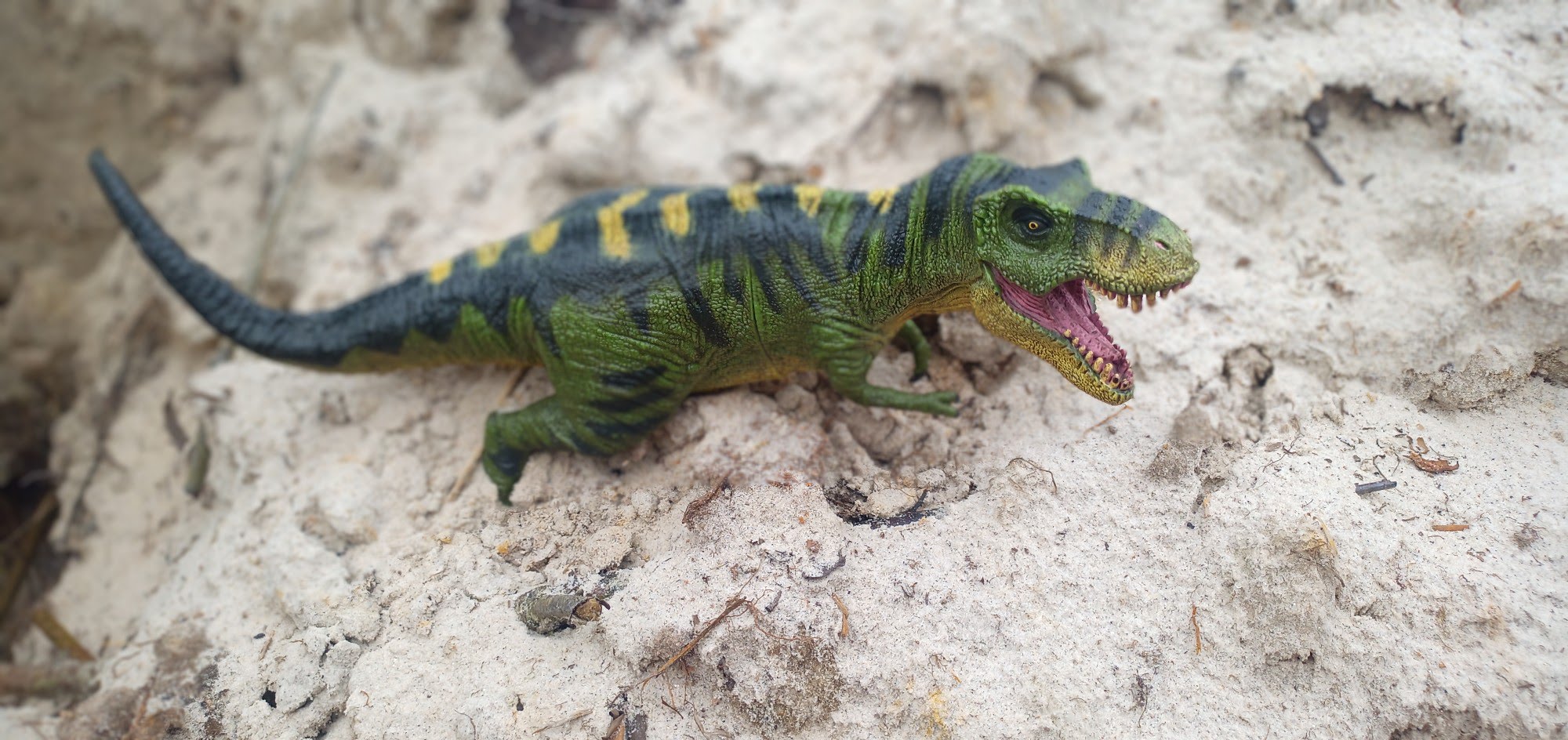 bearbeitets Bild vom Dino im Sand, Dino mehr Farbe, ausgeschnitten und Hintergrund etwas unscharf.