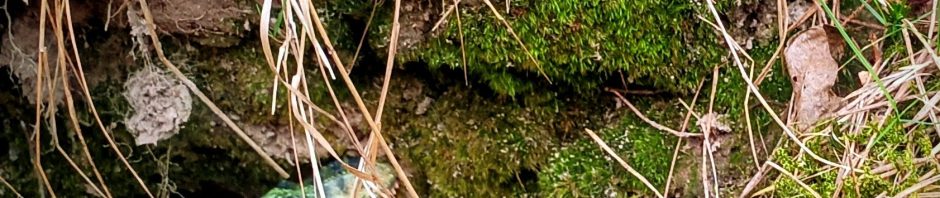 Dinosaurierfigur in Höhle