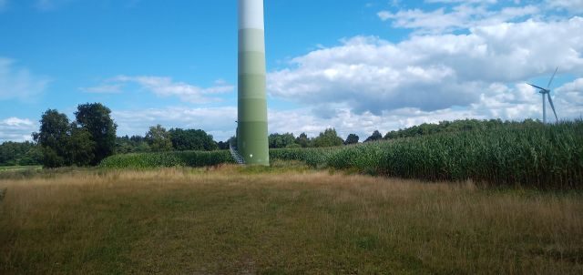 Das Foto zeigt den unteren Teil eines Windkraftanlagen-Turmes auf einem begrünten Fundament mit einer vorliegenden mittlerweile bewachsenen Sand-Schotter-Fläche. An zwei Seiten wächst Mais bis auf etwa 7 Meter an die WKA heran.